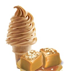 Lody włoskie słony karmel 10 kg