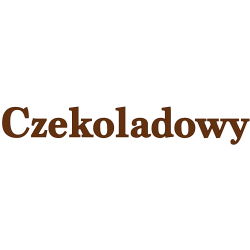 Lody włoskie czekoladowe MD 10 kg