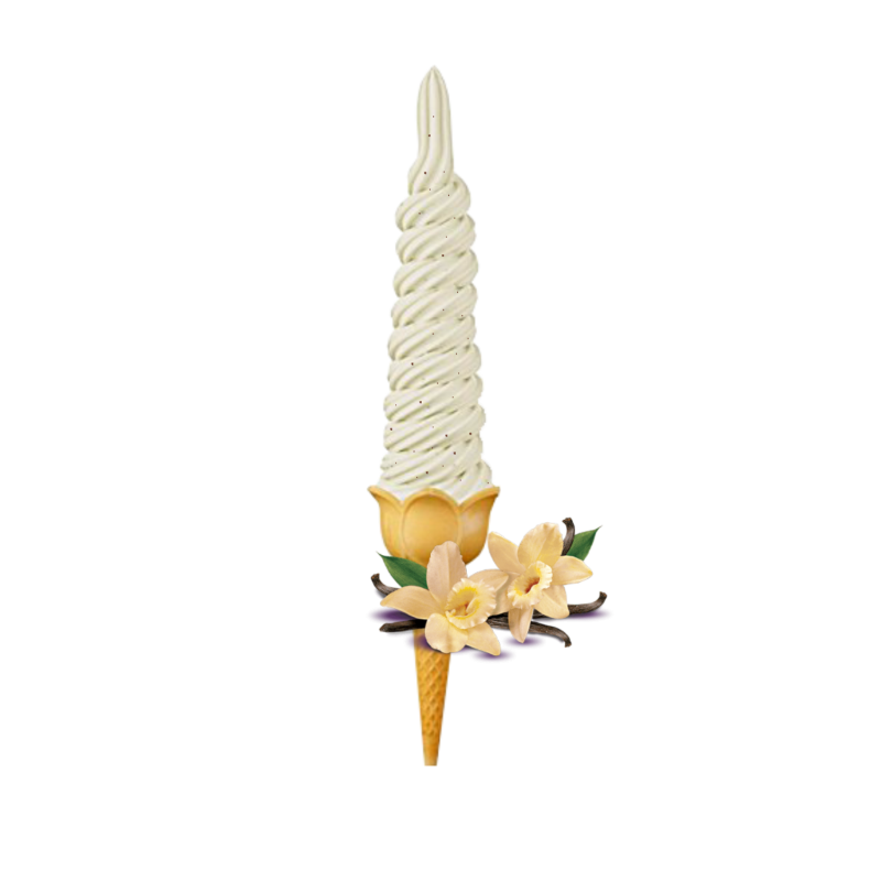 Lody świderki waniliowe z ziarnami wan. 10kg