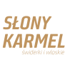 Lody włoskie słony karmel 10 kg