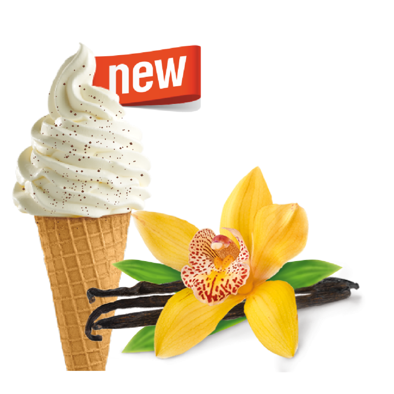 Lody włoskie waniliowe z ziarnami wan. 10 kg