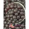 PREMIUM Popping Boba Grape kulki winogronowe 3,2 kg